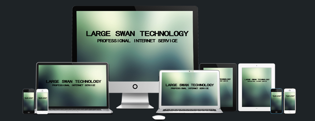 largeswan_网站制作